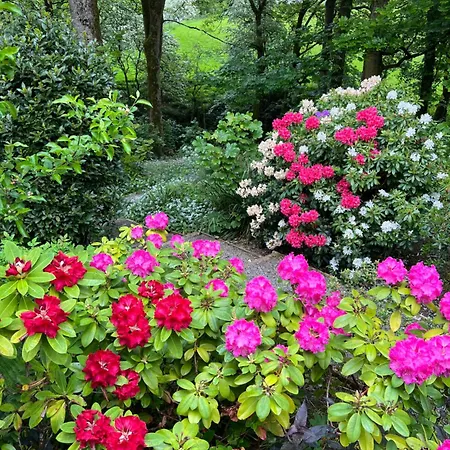 The Folly Séjour chez l'habitant Draughton