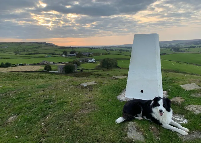 The Folly * Draughton