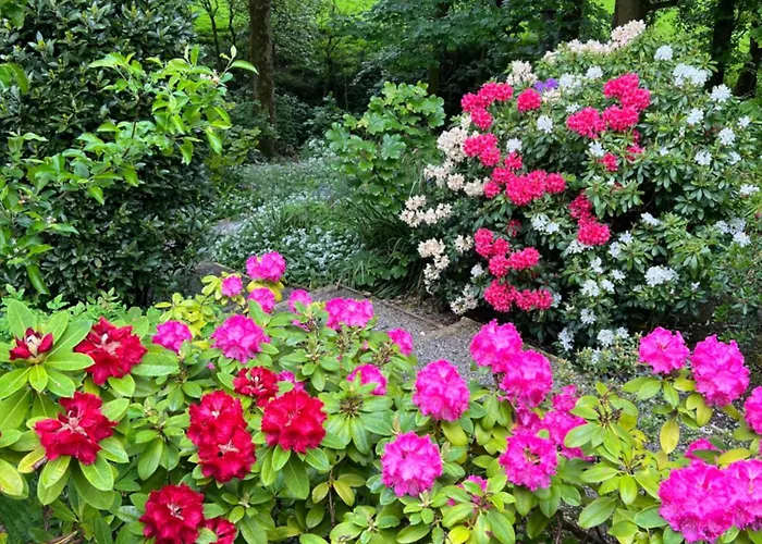 The Folly Homestay Draughton